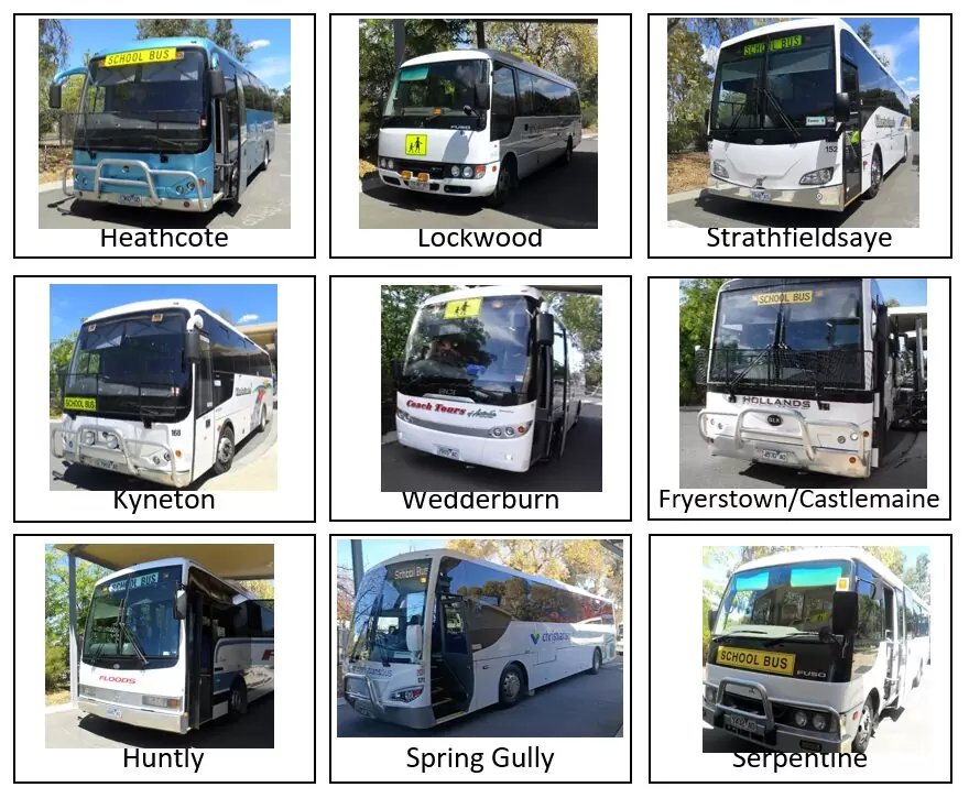 buses