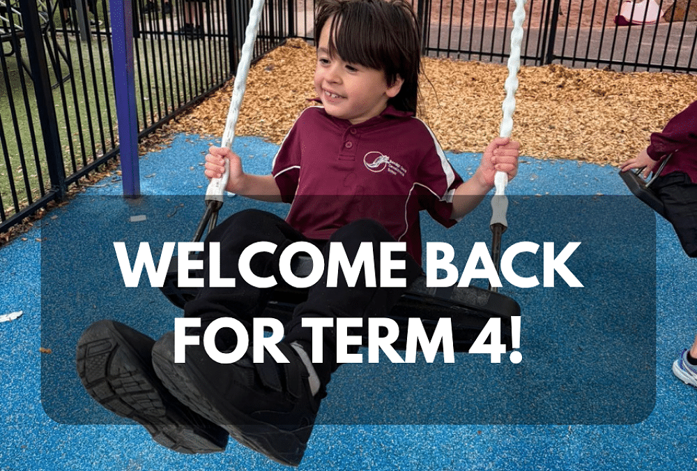 Newsletter – Friday 16th October 2026
