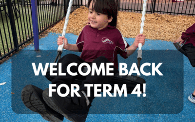 Newsletter – Friday 16th October 2026